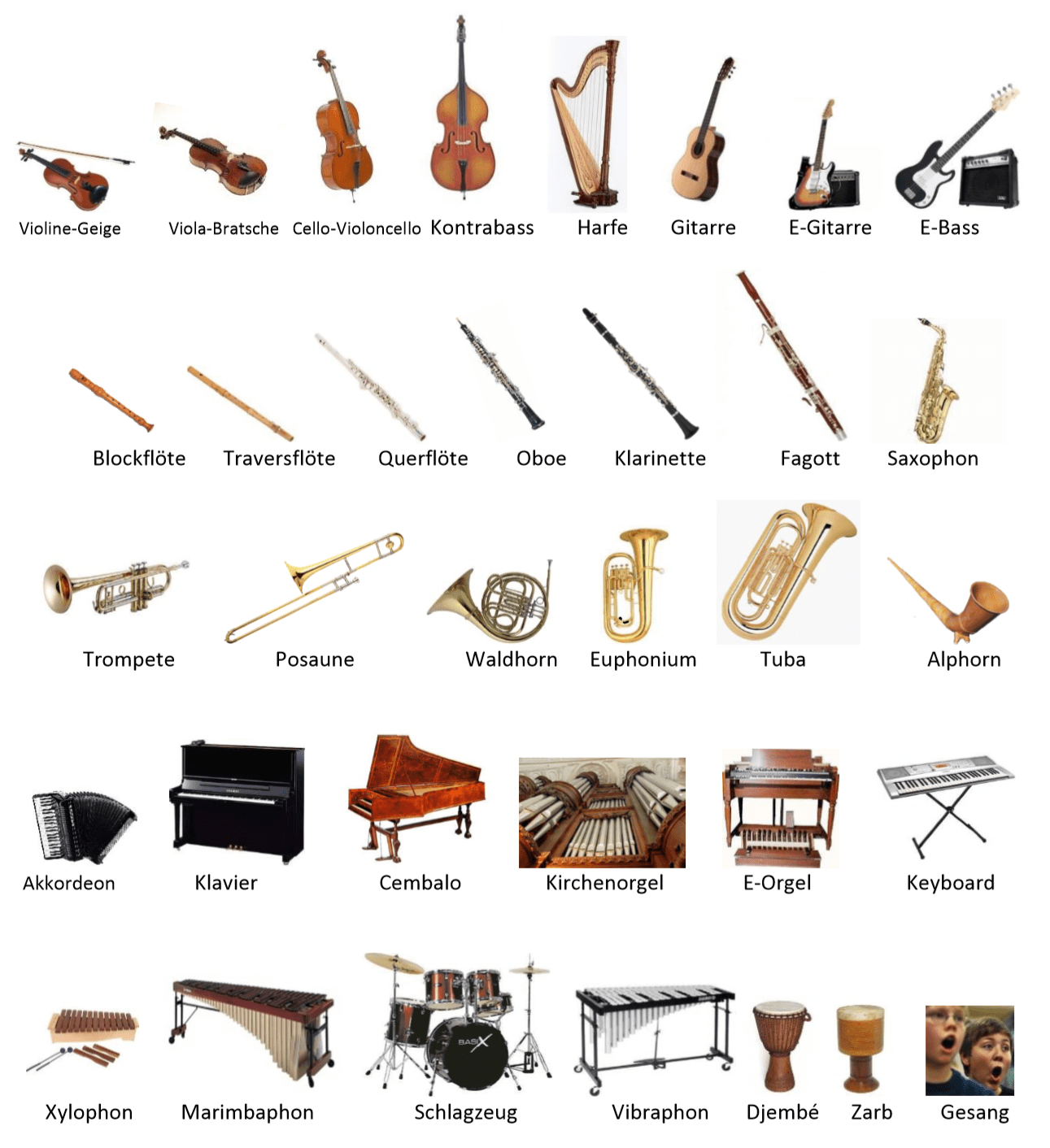 Instrumente kennenlernen